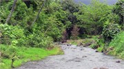 Hiva Oa_IMG_1543